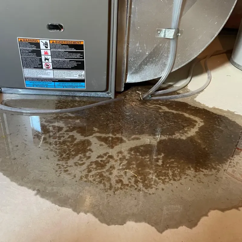 Appliance Leak Cleanup in Preston County, WV