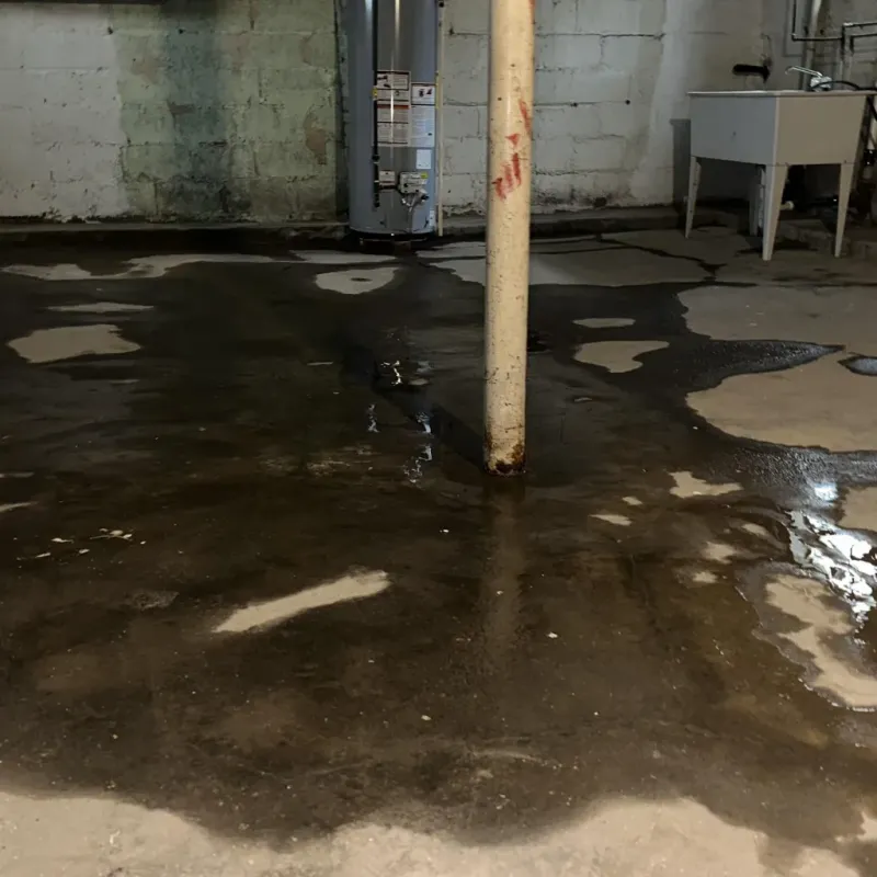 Emergency Water Extraction And Removal in Preston County, WV